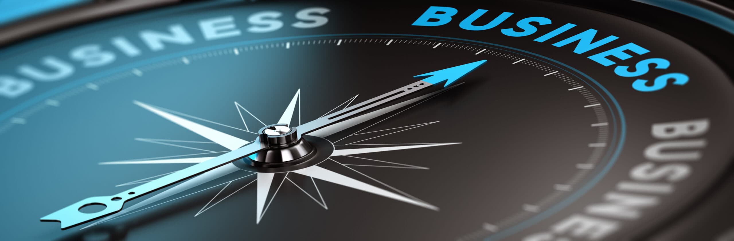 Compass needle pointing toward the word Business, symbolizing tailored strategy